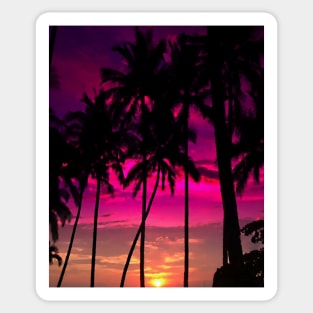 Palm Tree Sunset Horizon Digital Painting Sticker